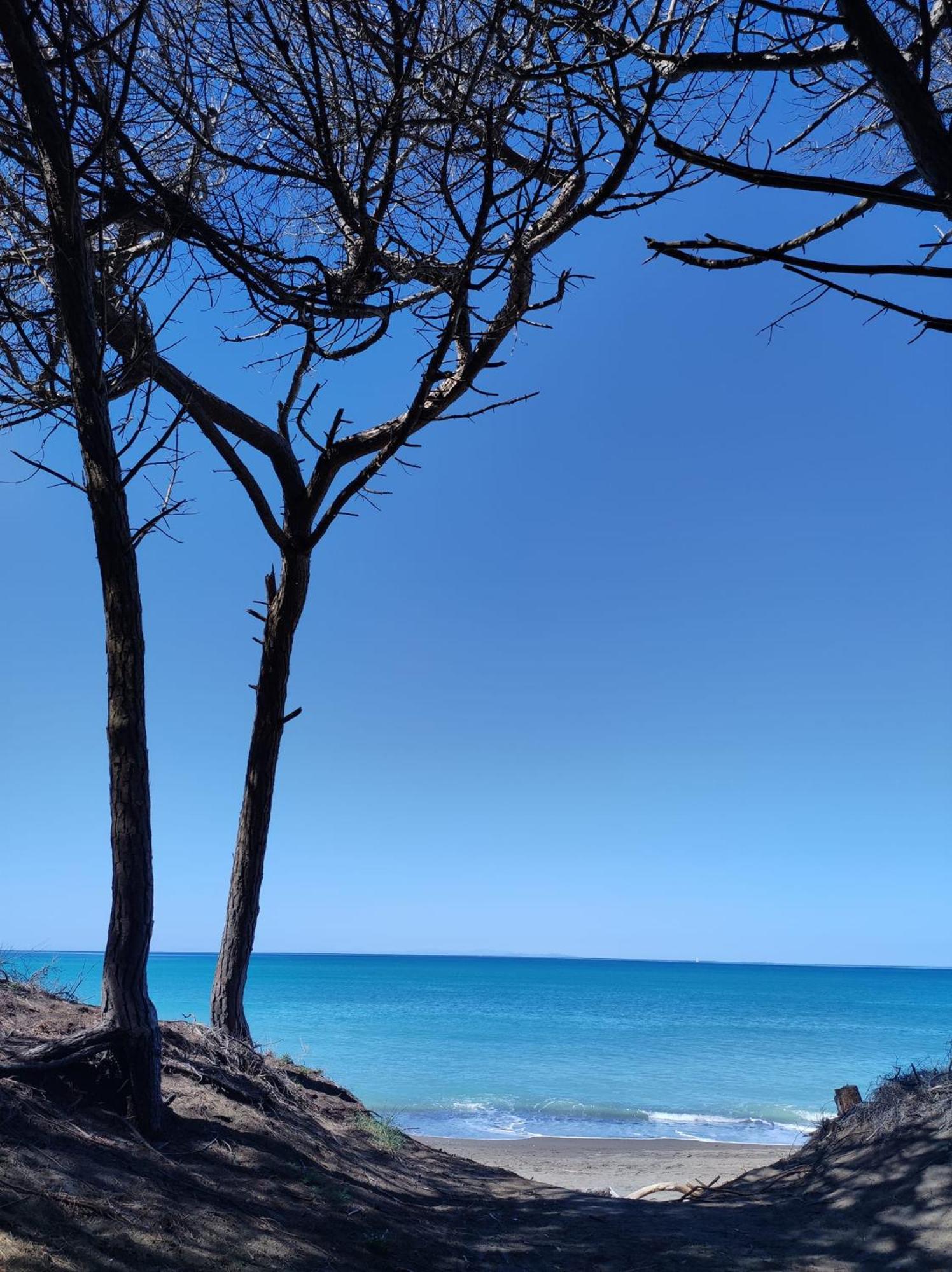 Mare Toscano Appartement Riparbella Buitenkant foto